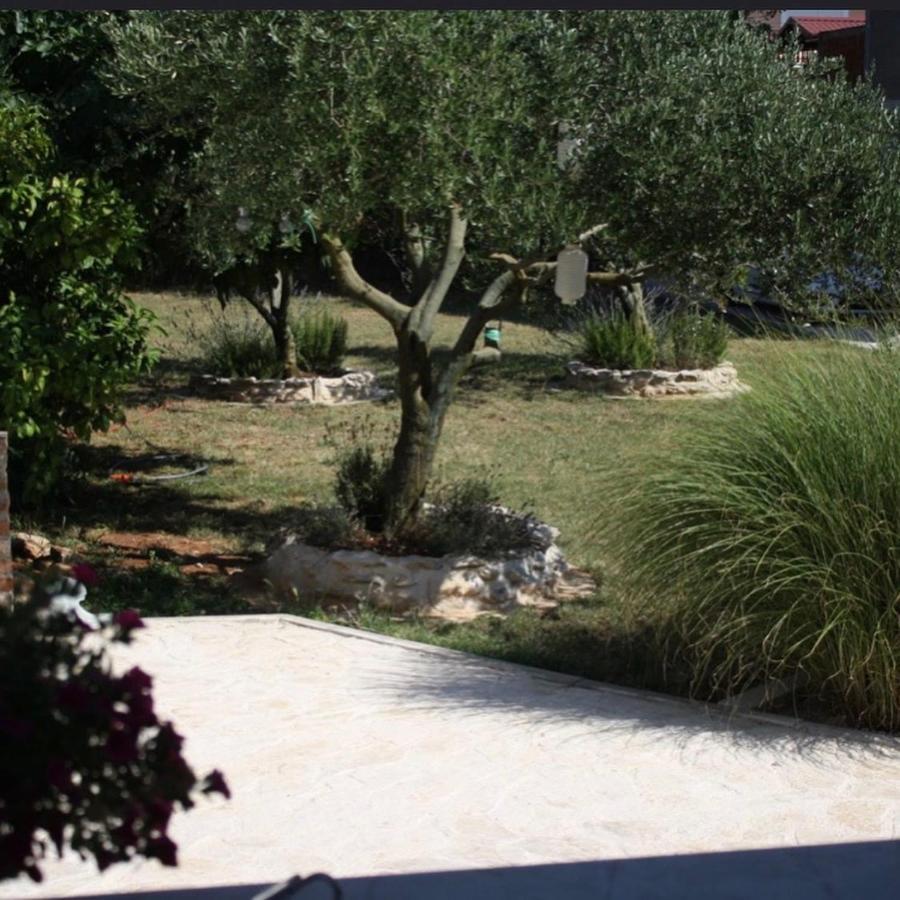 Ferienwohnungen VI La Mare With Heated Pool 扎达尔 外观 照片